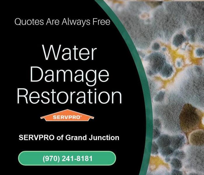graphic of water damage restoration SERVPRO Grand Junction